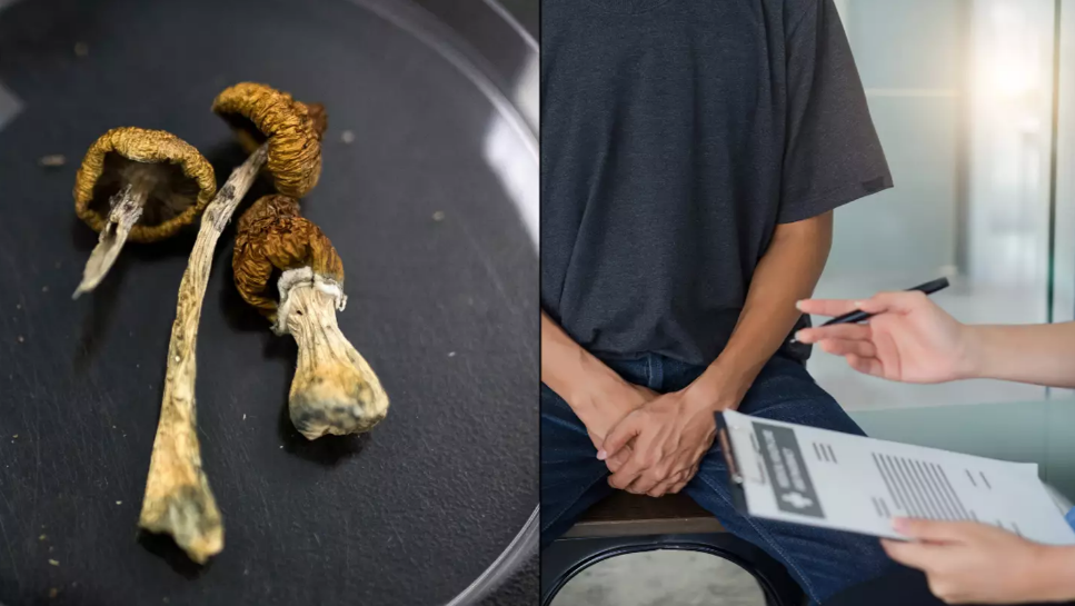 austria-potong-penis-jamur