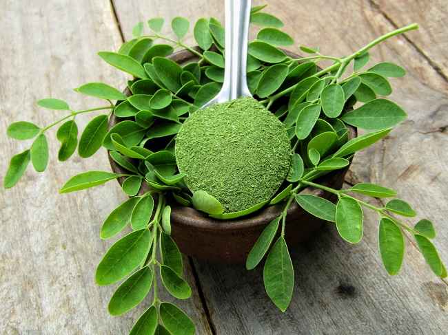 daun-kelor-manfaat